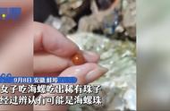 珍贵海螺珠背后的故事与价值