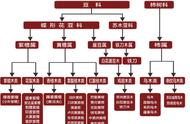 刺猬紫檀：一种被低估的珍贵木材