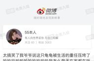 网红充电座背后的法律陷阱——以玳瑁标本为例