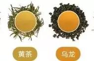 全方位解读茶叶：让茶叶知识变得简单易懂