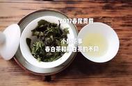 深度解读白茶春茶和秋茶的奥秘差异