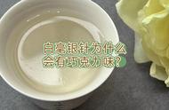 一探究竟：白毫银针的巧克力味是否正常？