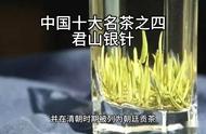 君山银针——茶爱好者的首选名茶