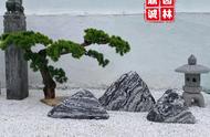 雪浪石切片庭院草坪造景-化州雪浪石原石的独特视角