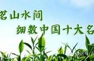 中国十大名茶：千年传承，茶香四溢的世界