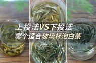 玻璃杯泡茶：上投法VS下投法，哪个更受欢迎？