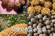 金刚菩提新手指南：让你轻松上手