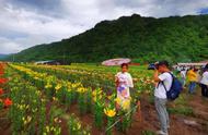 第十二届松花石文化旅游节在江源区拉开帷幕，带你走进文化的世界