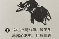 零基础学画：国画八哥全面教程