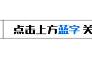 琥珀探秘：揭开时间之宝与自然奇观的神秘面纱