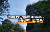 你落坑了吗？武夷岩茶三大坑：古井老丛、百年老丛和十年老岩茶的诱惑