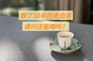 白茶的保质期：过了10年，还能继续喝吗？