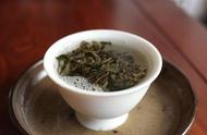 普洱茶的对比：饼茶与散茶，哪个更好？