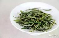 舒城小兰花茶：在平凡中发现的小奇迹