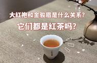 你还在被这些茶圈易错选项误导吗？大红袍和铁观音的真实身份揭秘