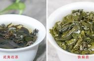 大红袍与铁观音：乌龙茶中的两大代表，其韵味有何独特之处？