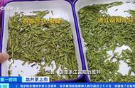 同一产地的龙井茶，价格竟然相差1倍！这究竟是怎么回事？