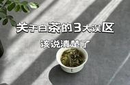 冬天喝白茶，真的会对身体不好吗？关于白茶的三大误区解读