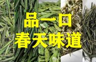 春天的味道，就在你口中：10款明前春茶推荐