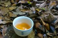 普洱茶的春茶、秋茶和夏茶，哪个更具市场竞争力？