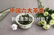 大红袍和铁观音：挑战中国六大茶类的划分