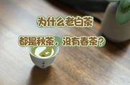 老白茶销售：九家店都在售卖秋茶，春白茶是否适合长期保存？