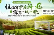 春茶储存技巧：教你几个方法，轻松留住茶叶香气