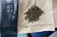 第八天的茶叶冒险：雾里萌黄蒙顶黄芽试茶体验