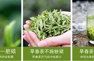 茶叶的'七宗最'，你都了解吗？看过的人都收藏了