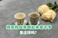 带你了解绿茶和白茶的4个关键区别，别再买错了