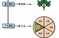 乌龙茶识别手册：从品饮到鉴别