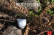 金骏眉的金毫越多越好？揭秘茶客们常被忽视的4个陷阱