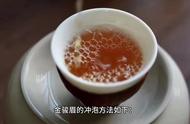 金骏眉冲泡技巧大公开，让你的茶更好喝