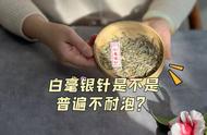 白毫银针：美观与不耐泡的深度剖析