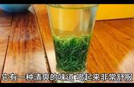 信阳毛尖绿茶荣获十大名茶之一，品质和口碑赢得了消费者的热烈赞誉