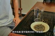 贵州毛峰茶：茶叶中的瑰宝，值得珍藏