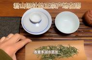 品鉴君山银针：感受茶道的精神境界