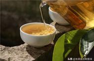 普洱茶的9大热门问题：一篇文章让你全面掌握