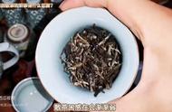 散茶与饼茶：老白茶冲泡方式的比较