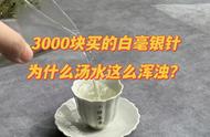 3000元白毫银针：品尝中的困扰——汤水的浑浊问题