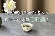 白茶价格研究：100元、500元、1000元，口粮茶的价格区间