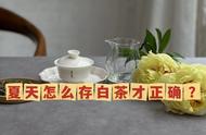 如何保护你的两千多一斤的白毫银针茶叶？实用的存茶小技巧