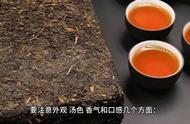 如何挑选优质的黑茶？购买前的必要知识