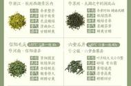 各位茶友看过来：48种名优绿茶品种及图片对比收藏