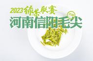 2023绿茶联赛：信阳毛尖小浑淡，口感评测让你赞不绝口