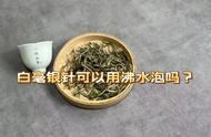 “白毫银针”不能用沸水泡，我来揭示真相