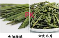 六安瓜片与太平猴魁茶的大PK：哪款绿茶更值得购买？