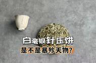 白毫银针以前为何不压饼，现在却频繁这样做？