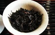 大红袍茶属于哪个茶叶品种？