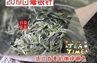 白茶新手入门推荐：白毫银针，真正懂茶的人不多